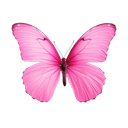 Floating Butterfly