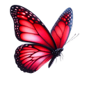 Flying Butterfly